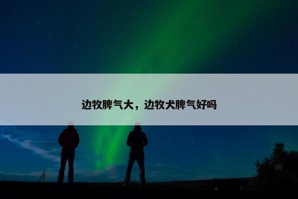 边牧脾气大，边牧犬脾气好吗