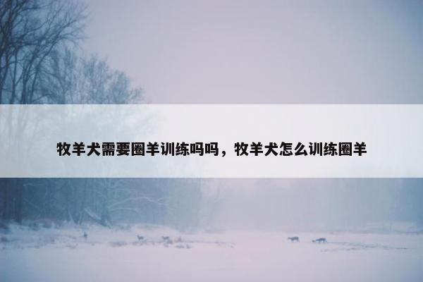 牧羊犬需要圈羊训练吗吗，牧羊犬怎么训练圈羊