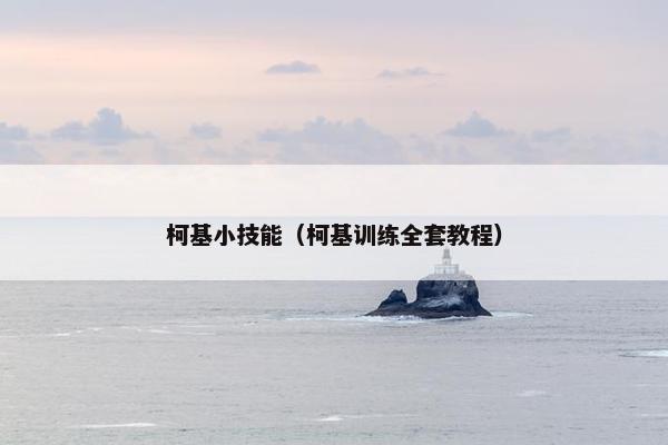 柯基小技能（柯基训练全套教程）
