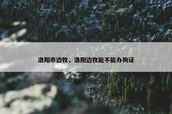 洛阳市边牧，洛阳边牧能不能办狗证