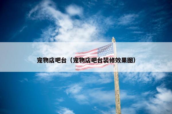 宠物店吧台（宠物店吧台装修效果图）