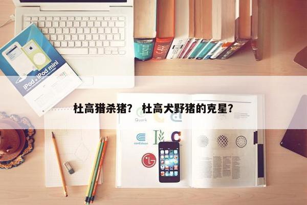 杜高猎杀猪？ 杜高犬野猪的克星？