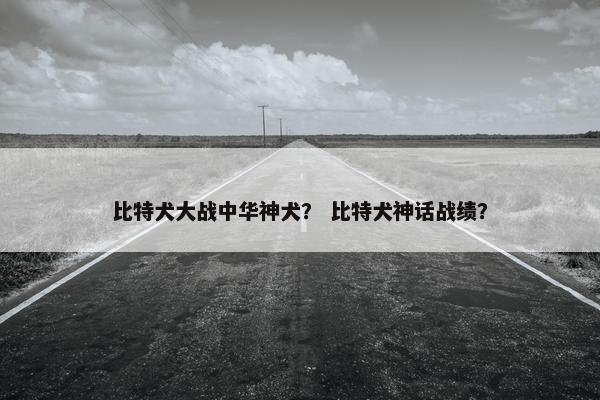 比特犬大战中华神犬？ 比特犬神话战绩？
