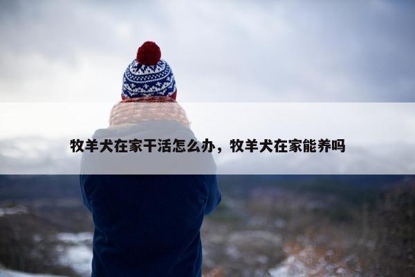 牧羊犬在家干活怎么办，牧羊犬在家能养吗