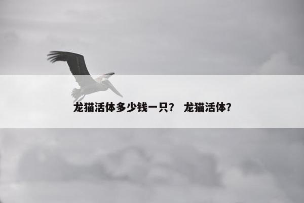 龙猫活体多少钱一只？ 龙猫活体？
