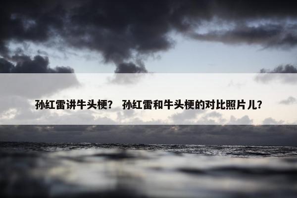 孙红雷讲牛头梗？ 孙红雷和牛头梗的对比照片儿？