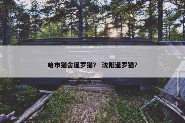 很多