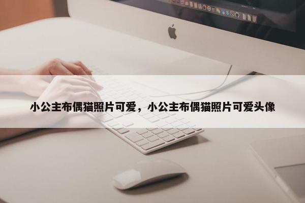 小公主布偶猫照片可爱，小公主布偶猫照片可爱头像