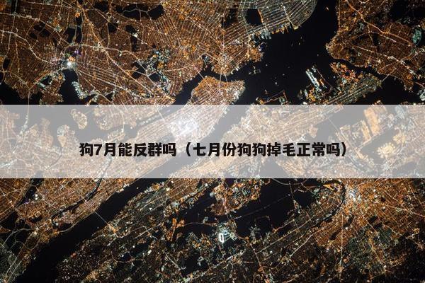 狗7月能反群吗（七月份狗狗掉毛正常吗）