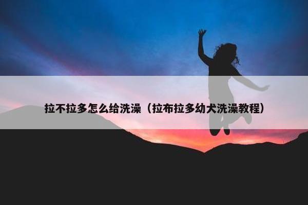 拉不拉多怎么给洗澡（拉布拉多幼犬洗澡教程）