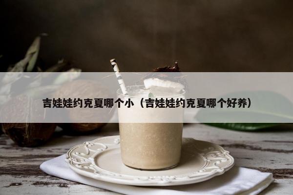 吉娃娃约克夏哪个小（吉娃娃约克夏哪个好养）