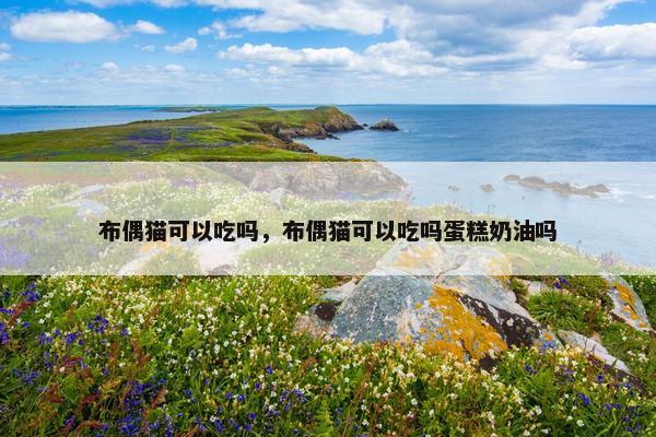 布偶猫可以吃吗，布偶猫可以吃吗蛋糕奶油吗