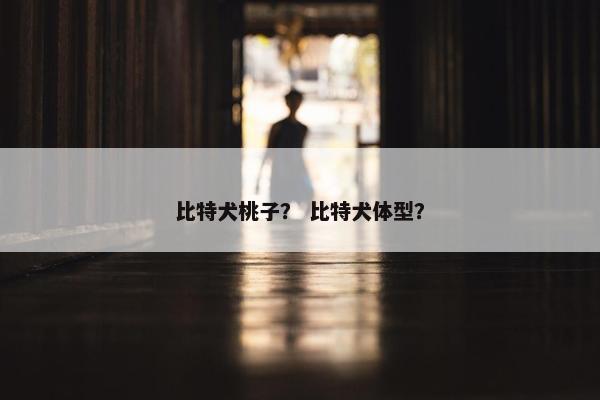 比特犬桃子？ 比特犬体型？