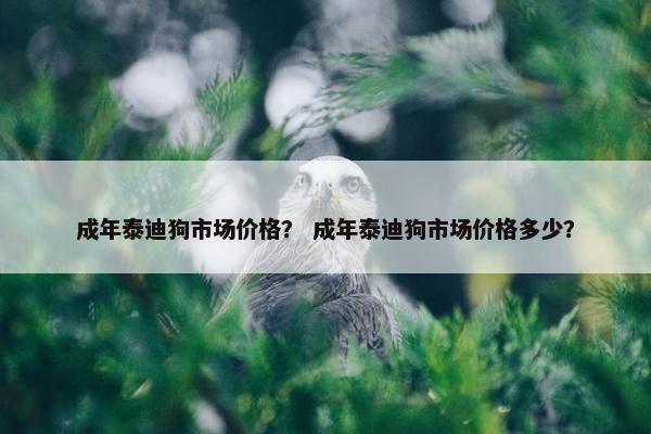 成年泰迪狗市场价格？ 成年泰迪狗市场价格多少？