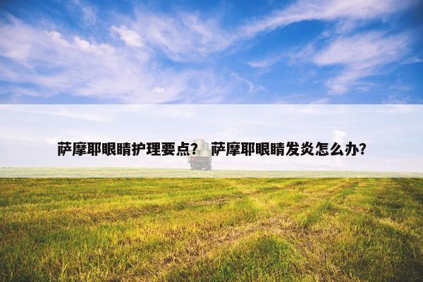 萨摩耶眼睛护理要点？ 萨摩耶眼睛发炎怎么办？