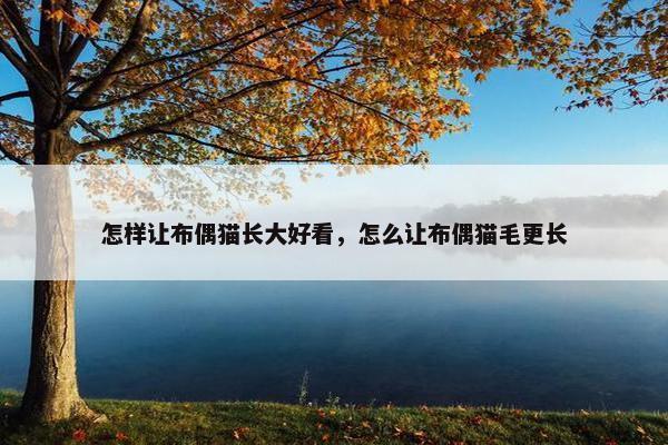 怎样让布偶猫长大好看，怎么让布偶猫毛更长