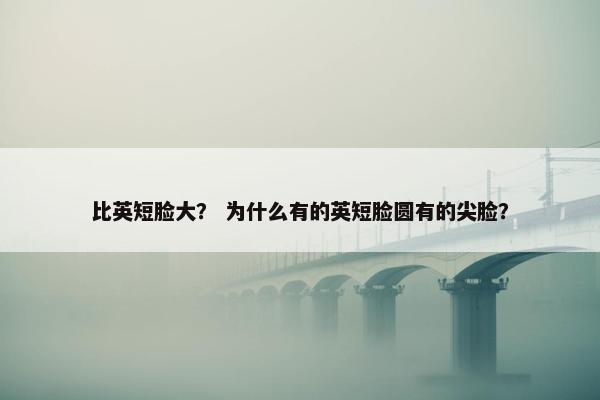 比英短脸大？ 为什么有的英短脸圆有的尖脸？