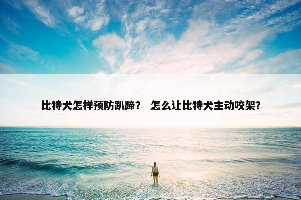 比特犬怎样预防趴蹄？ 怎么让比特犬主动咬架？