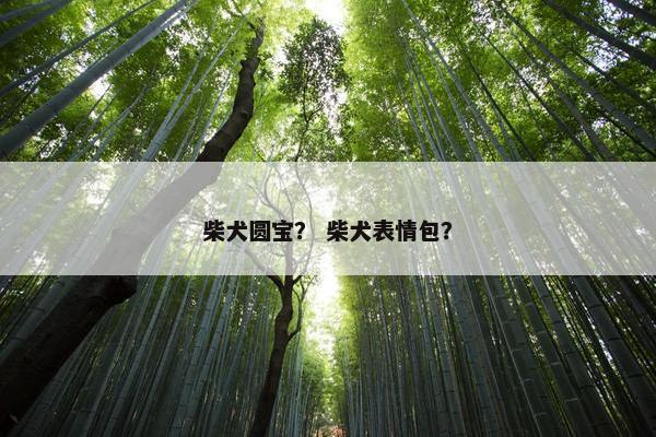 柴犬圆宝？ 柴犬表情包？