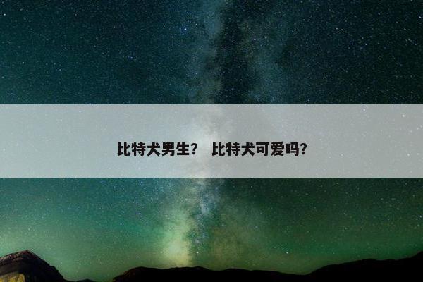 比特犬男生？ 比特犬可爱吗？