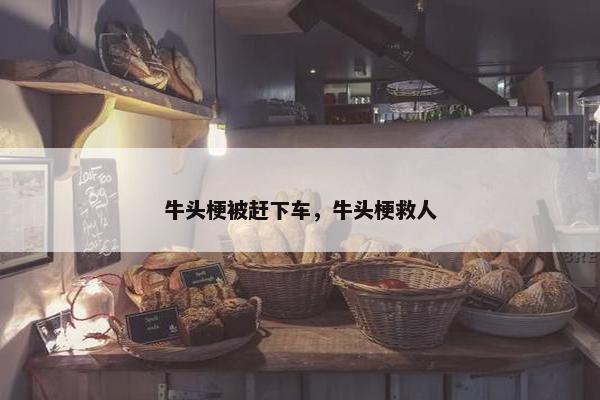 牛头梗被赶下车，牛头梗救人