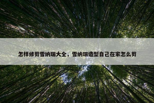 怎样修剪雪纳瑞大全，雪纳瑞造型自己在家怎么剪