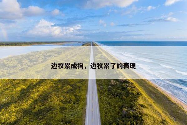 边牧累成狗，边牧累了的表现