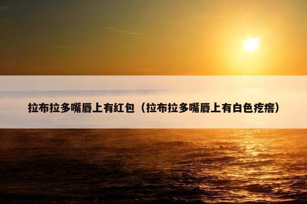 拉布拉多嘴唇上有红包（拉布拉多嘴唇上有白色疙瘩）