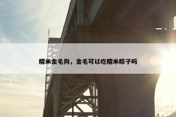 糯米金毛狗，金毛可以吃糯米粽子吗
