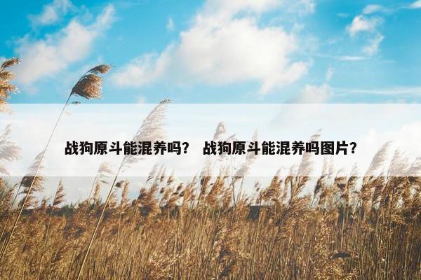 战狗原斗能混养吗？ 战狗原斗能混养吗图片？
