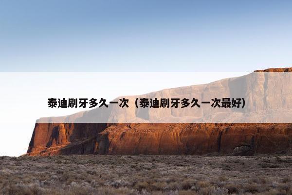 泰迪刷牙多久一次（泰迪刷牙多久一次最好）