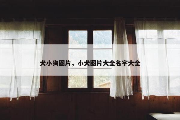 犬小狗图片，小犬图片大全名字大全
