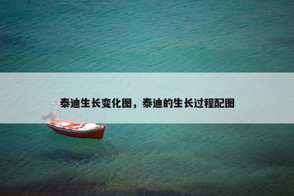 泰迪生长变化图，泰迪的生长过程配图