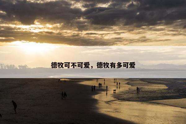 德牧 第36页