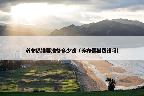 养布偶猫要准备多少钱（养布偶猫费钱吗）
