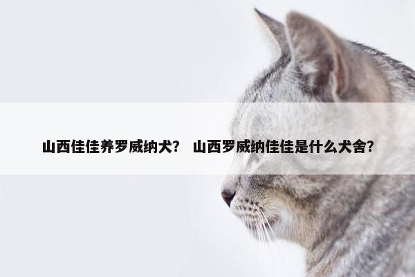 山西佳佳养罗威纳犬？ 山西罗威纳佳佳是什么犬舍？
