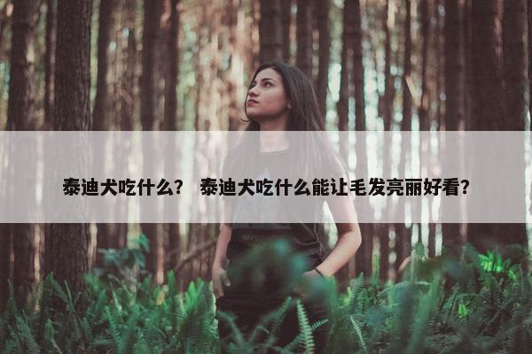 泰迪犬吃什么？ 泰迪犬吃什么能让毛发亮丽好看？