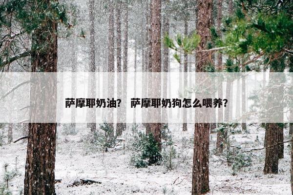 萨摩耶奶油？ 萨摩耶奶狗怎么喂养？