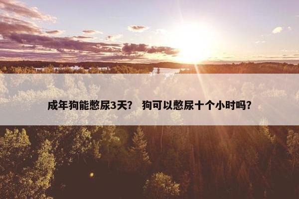 成年狗能憋尿3天？ 狗可以憋尿十个小时吗？