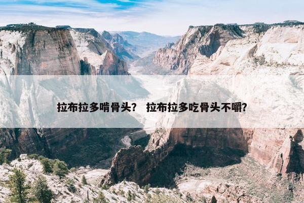 骨头 第2页
