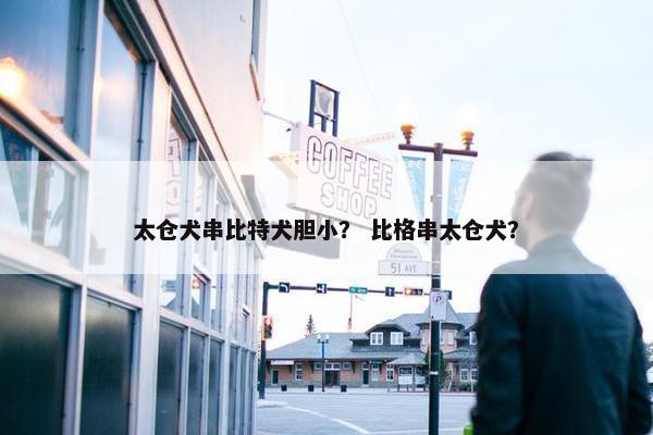 太仓犬串比特犬胆小？ 比格串太仓犬？