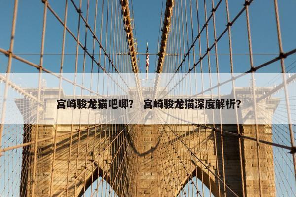 宫崎骏龙猫吧唧？ 宫崎骏龙猫深度解析？