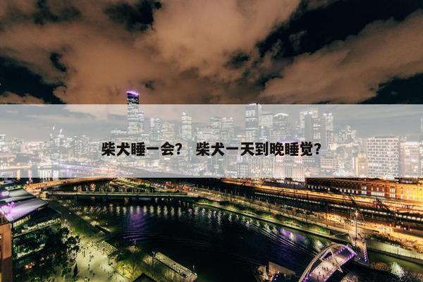 柴犬睡一会？ 柴犬一天到晚睡觉？