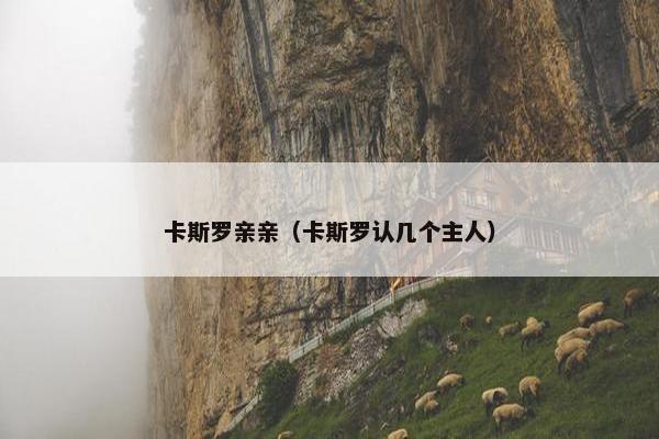 卡斯罗亲亲（卡斯罗认几个主人）