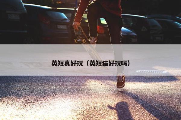 英短真好玩（英短猫好玩吗）