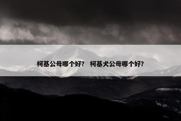 柯基公母哪个好？ 柯基犬公母哪个好？