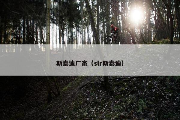 斯泰迪厂家（slr斯泰迪）
