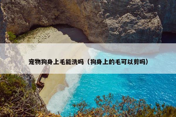 宠物狗身上毛能洗吗（狗身上的毛可以剪吗）