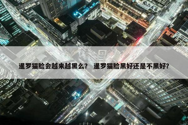暹罗猫脸会越来越黑么？ 暹罗猫脸黑好还是不黑好？