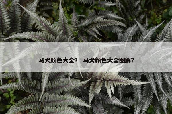 黑褐色